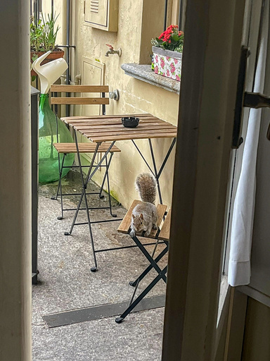 mercuzio_tebaldo/IMG_20241213_114317.jpg