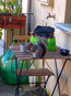 mercuzio_tebaldo/IMG_20241228_112305.jpg