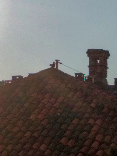 mercuzio_tebaldo/IMG_20250826_081638.jpg