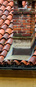 mercuzio_tebaldo/IMG_20250923_092141.jpg