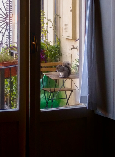 mercuzio_tebaldo/IMG_20251123_125700.jpg