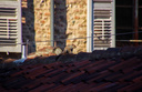 mercuzio_tebaldo/IMG_20260701_174750.jpg