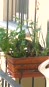 mercuzio_tebaldo/VID_20241002_134544.mp4