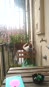 mercuzio_tebaldo/VID_20241013_082632.mp4