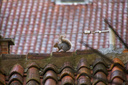 tebaldo/IMG_20261011_074719.jpg