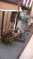 tebaldo/VID_20261011_053753.mp4