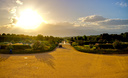 venaria_flamenco/IMG_20260828_191657.jpg