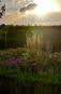 venaria_flamenco/IMG_20260828_191840.jpg