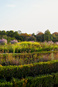 venaria_flamenco/IMG_20260828_192150.jpg