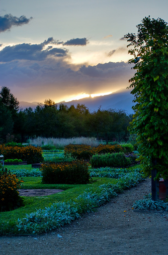 venaria_flamenco/IMG_20260828_194807.jpg