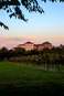 venaria_flamenco/IMG_20260828_195803.jpg