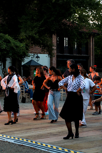 venaria_flamenco/IMG_20260828_201040.jpg