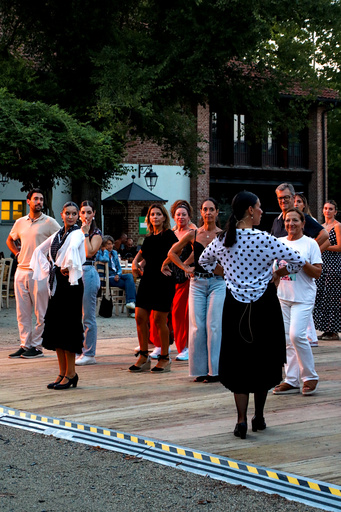 venaria_flamenco/IMG_20260828_201049.jpg