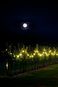venaria_flamenco/IMG_20260828_204258.jpg