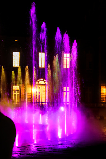 venaria_flamenco/IMG_20260828_231052.jpg