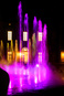venaria_flamenco/IMG_20260828_231052.jpg
