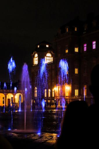 venaria_flamenco/IMG_20260828_231401.jpg