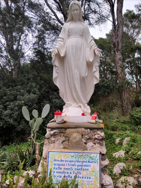 belvedere_filosofico/IMG_20240205_142730.jpg