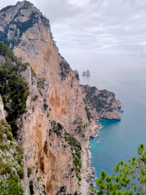 belvedere_filosofico/IMG_20240205_144105.jpg