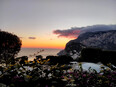 capri/IMG_20240203_172155.jpg
