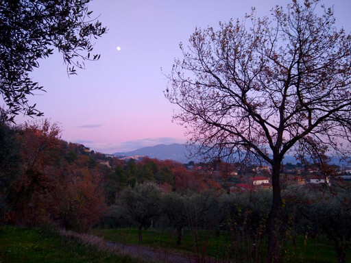 castelforte/IMG_20240123_171626.jpg