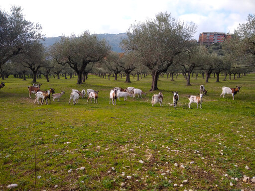 castelforte/IMG_20240126_140045.jpg