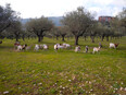 castelforte/IMG_20240126_140045.jpg