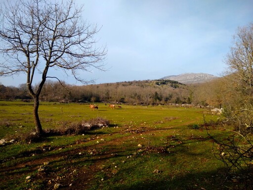 coreno_ausonio/IMG_20240124_150619.jpg