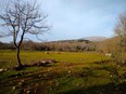 coreno_ausonio/IMG_20240124_150619.jpg