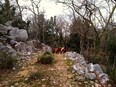 coreno_ausonio/IMG_20240124_160705.jpg