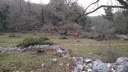 coreno_ausonio/VID_20240124_155805.mp4