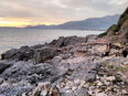 formia/IMG_20240229_171849.jpg