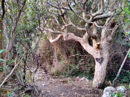 formia/IMG_20240229_173659.jpg