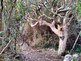formia/IMG_20240229_173659.jpg