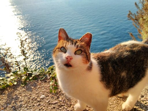 gaeta/IMG_20240131_091318.jpg