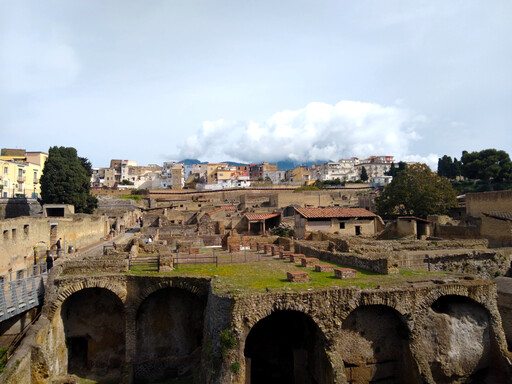 herculaneum/IMG_20240225_115921.jpg