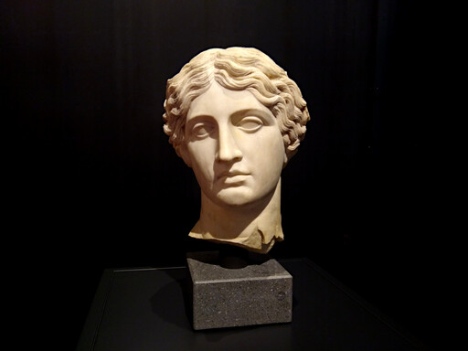 herculaneum/IMG_20240225_140327.jpg