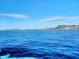 ischia/IMG_20240227_095025.jpg
