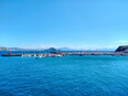 ischia/IMG_20240227_103814.jpg