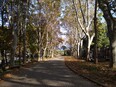 istanbul/IMG_20231021_120259.jpg