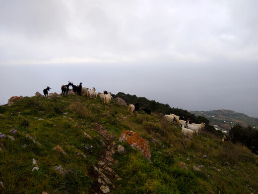 monte_solaro/IMG_20240205_134745.jpg