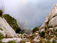monte_solaro/IMG_20240205_135017.jpg