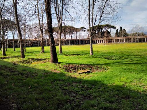 pompeii/IMG_20240226_131819.jpg