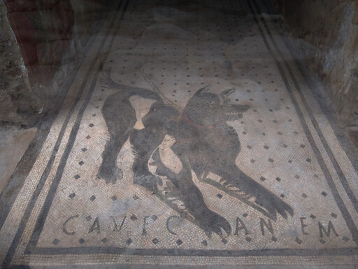 pompeii/IMG_20240226_162050.jpg