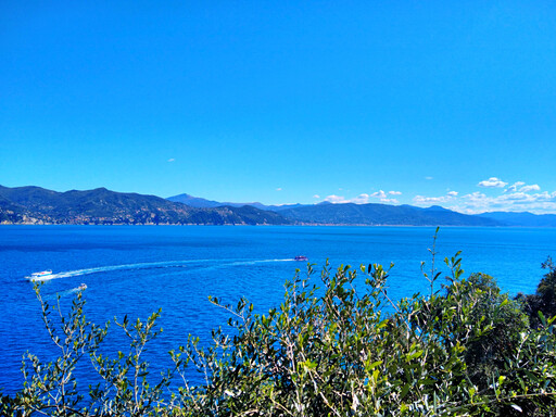 portofino/IMG_20250331_114642.jpg