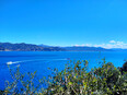 portofino/IMG_20250331_114642.jpg