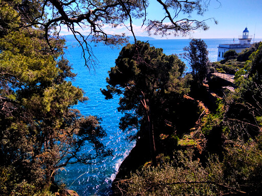 portofino/IMG_20250331_115617.jpg