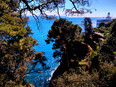 portofino/IMG_20250331_115617.jpg