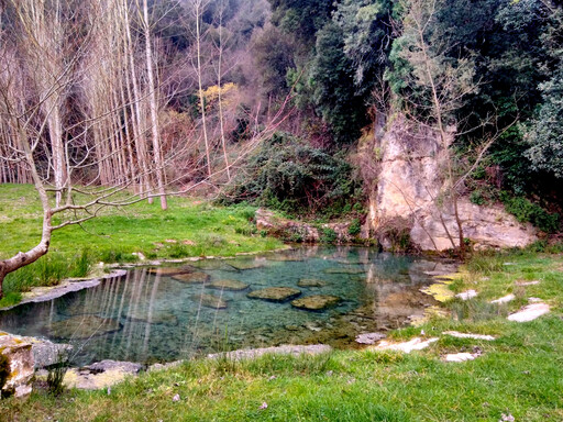 salomone/IMG_20240209_163219.jpg