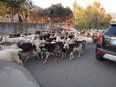santi_cosma_e_damiano/IMG_20240123_162131.jpg